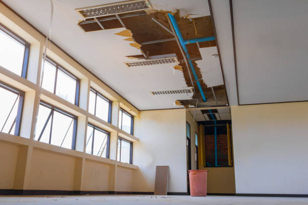 Best Water damage restoration near me  in Farmington, IL