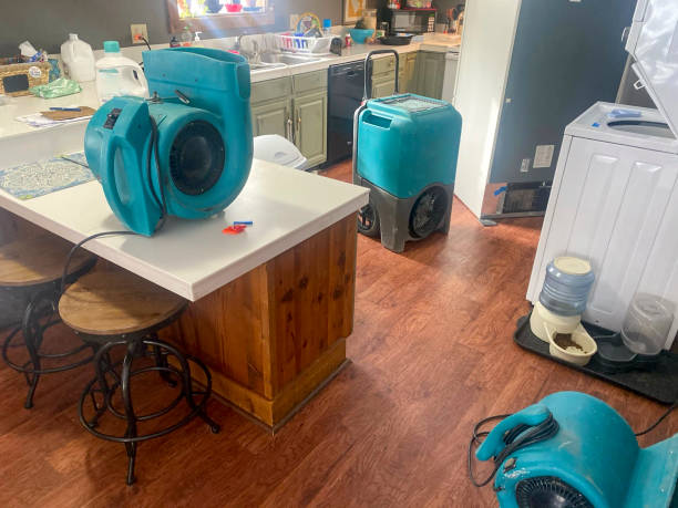 Best Water damage restoration process  in Farmington, IL