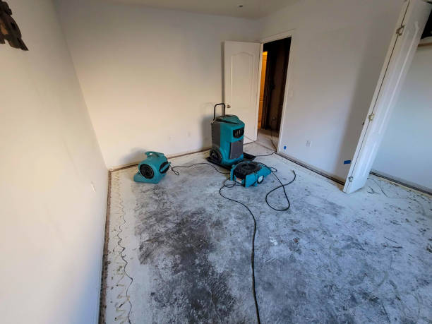 Best Water damage restoration experts  in Farmington, IL