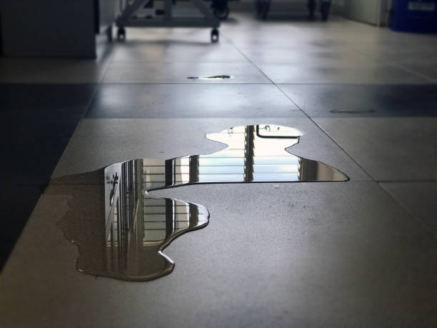 Best Water damage restoration near me  in Farmington, IL