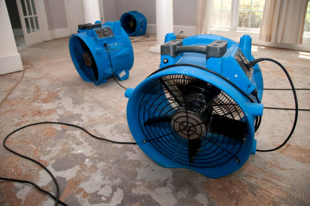 Best Water damage contractors near me  in Farmington, IL