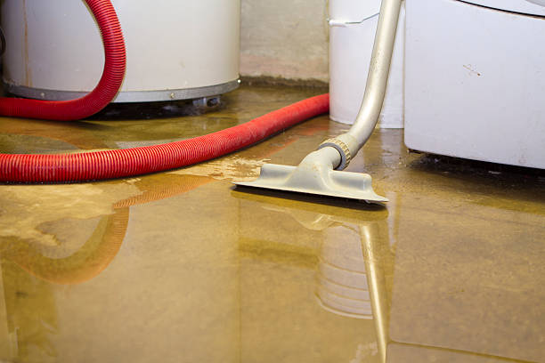 Best Professional water damage repair  in Farmington, IL