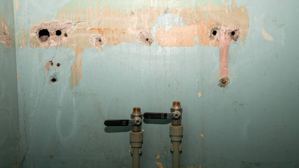 Best Residential water damage restoration  in Farmington, IL