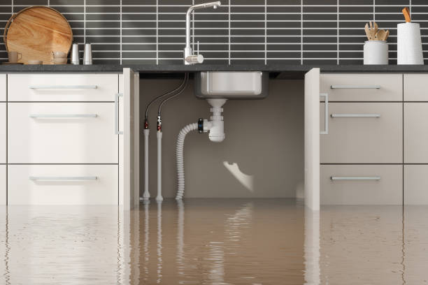 Best Sewage cleanup and water damage restoration  in Farmington, IL
