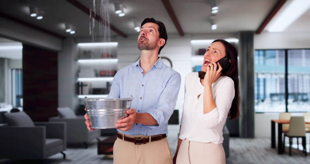 Best Mold removal after water damage  in Farmington, IL