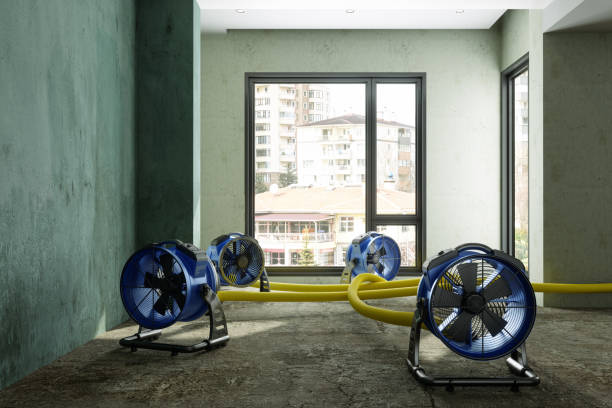 Best Commercial water damage restoration  in Farmington, IL